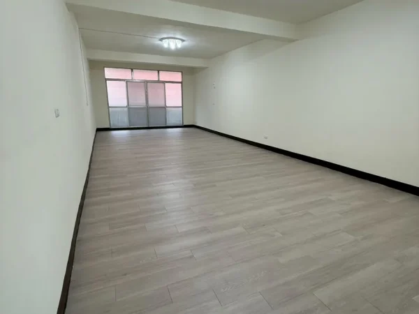 大忠路透天2