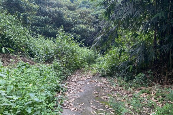 鯉魚尾段農保用地-1